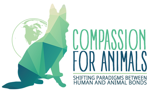 compassion for animals