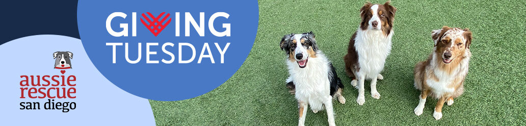 Aussie Rescue San Diego